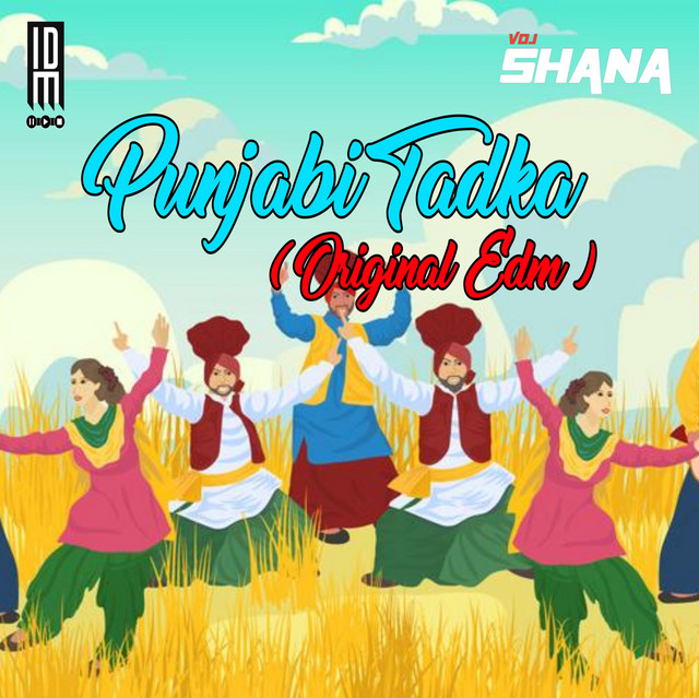 Punjabi Tadka - Original EDM