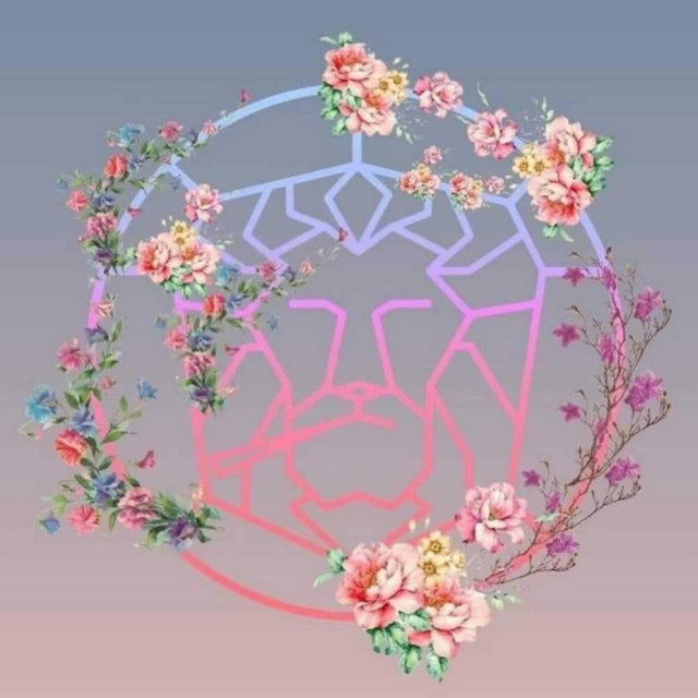 Saly Betli & Miki Mo cover art