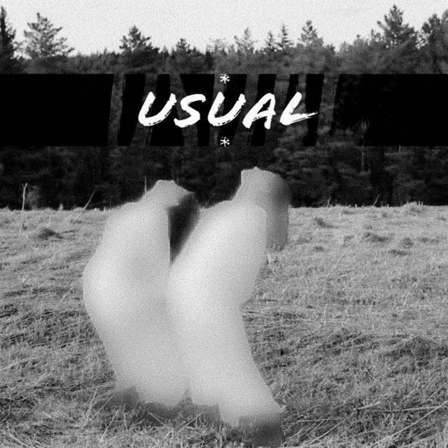 Usual cover