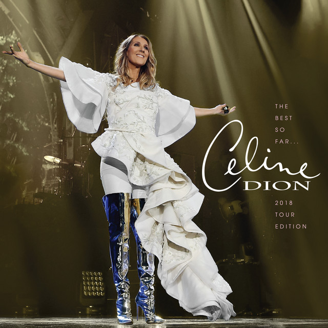 洋楽レコード　CELINE DION I DROVE ALL~ WRRC 24571.jpg