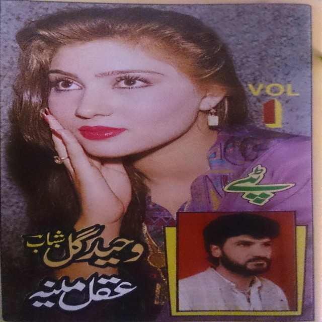 Aqal Meena, Vol. 1 - Album by Waheed Gul | Spotify