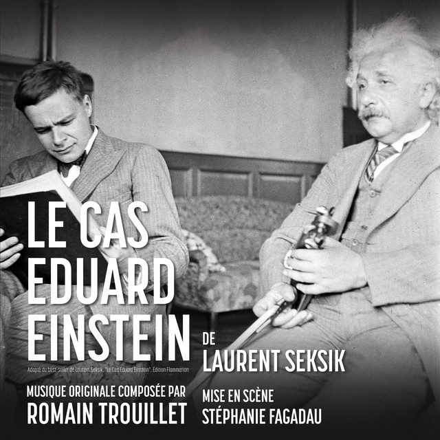 Le Cas Eduard Einstein (Thème principal)