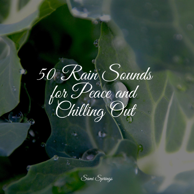 50 Rain Sounds for Peace and Chilling Out cover art