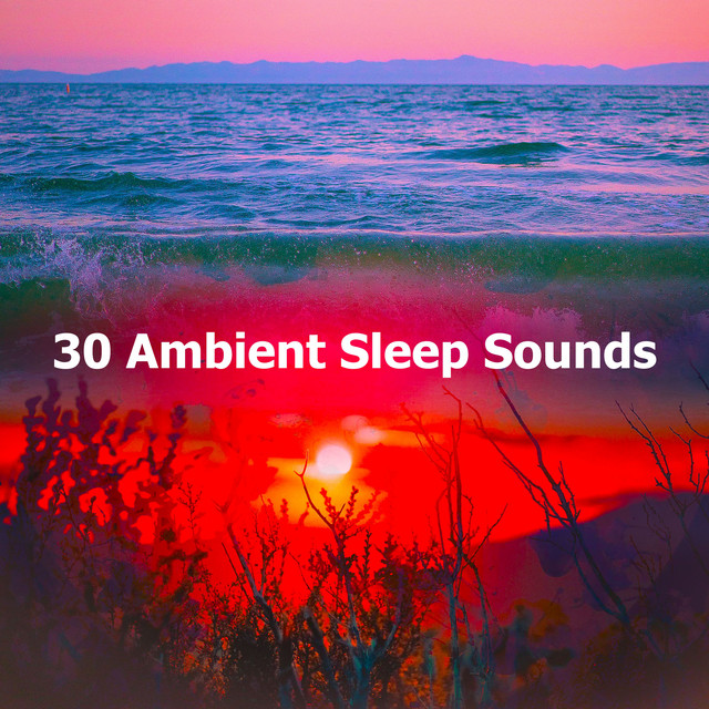 30 Ambient Sleep Sounds - Album by Soothing Music for Sleep | Spotify