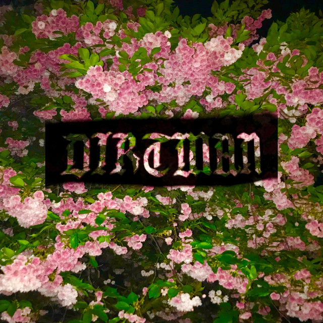 Tripper cover art