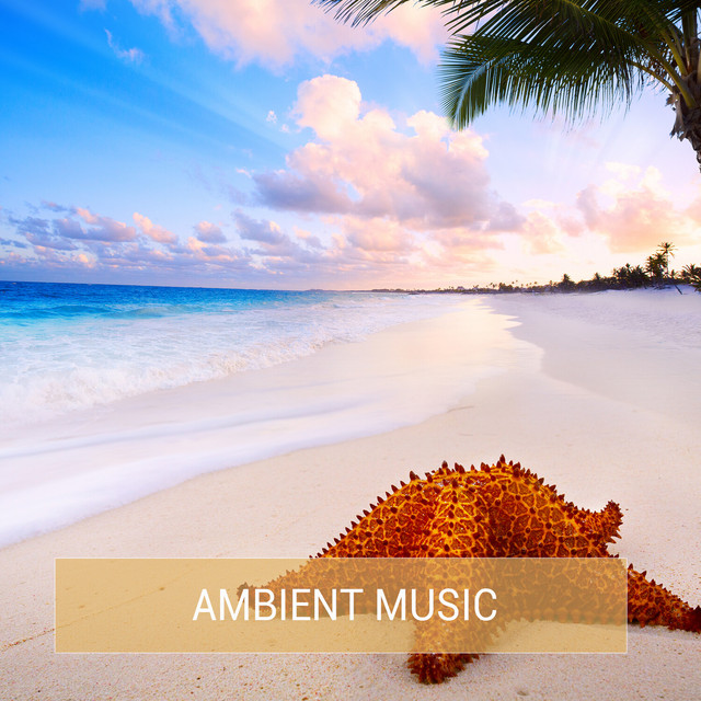 Ambient Music - Compilation by Various Artists | Spotify