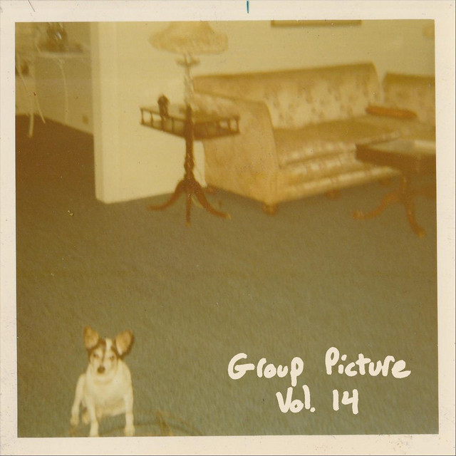 Group Picture, Vol. 14 cover art