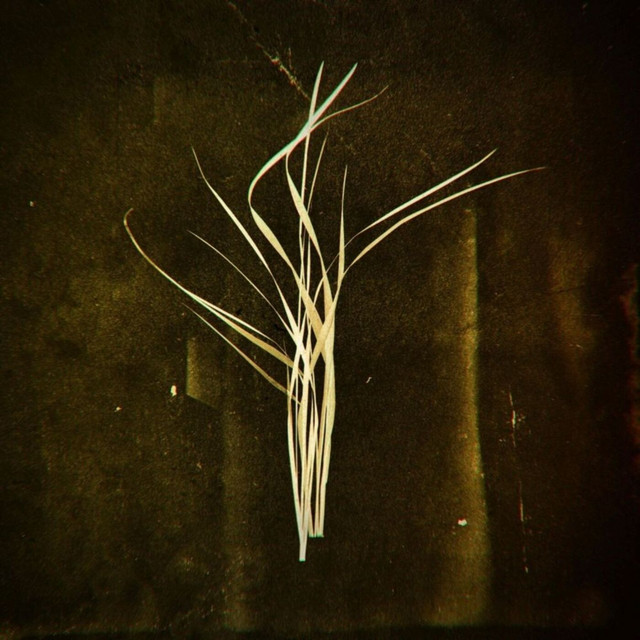 Mnemosyne cover