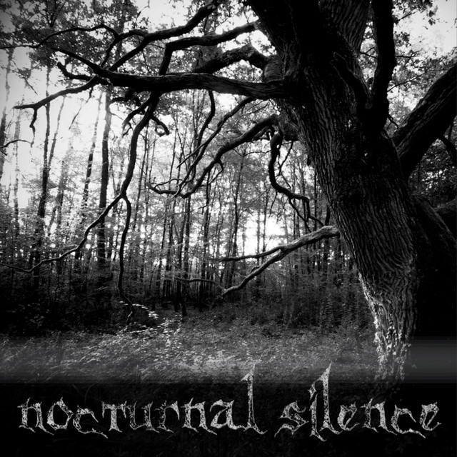 Nocturnal Silence
