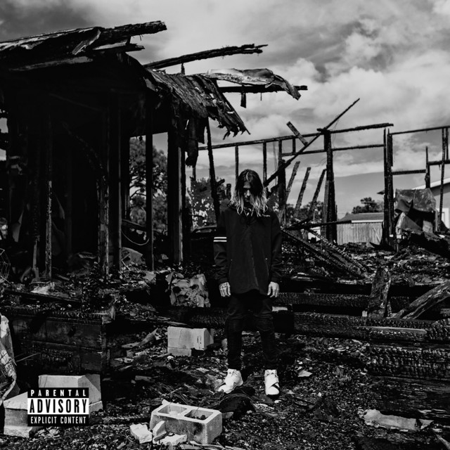 Monochromatic cover art