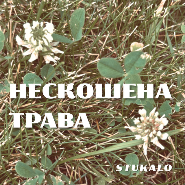 Обкладинка: Нескошена трава — Stukalo