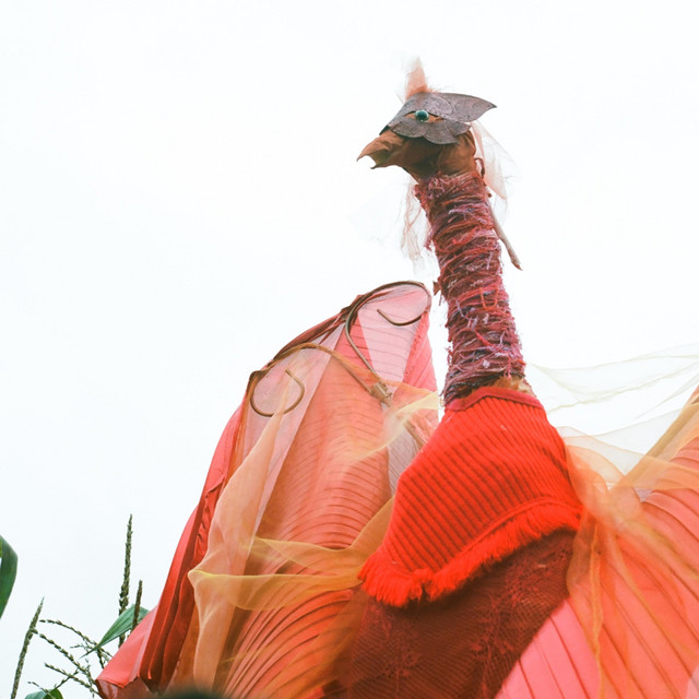 Joshua Tree Song By Indie Courtney Spotify