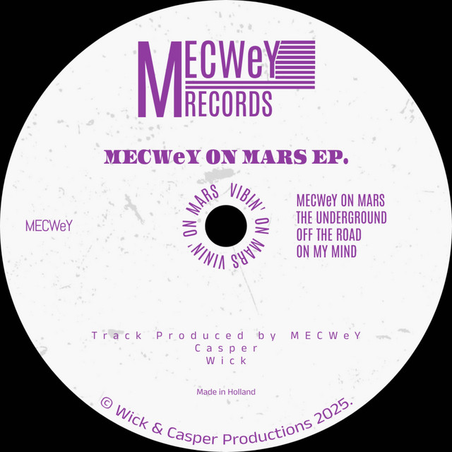 MECWeY on Mars