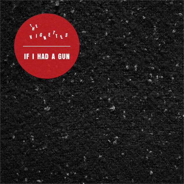 If I Had a Gun cover