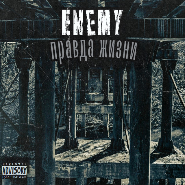 Правда жизни cover art
