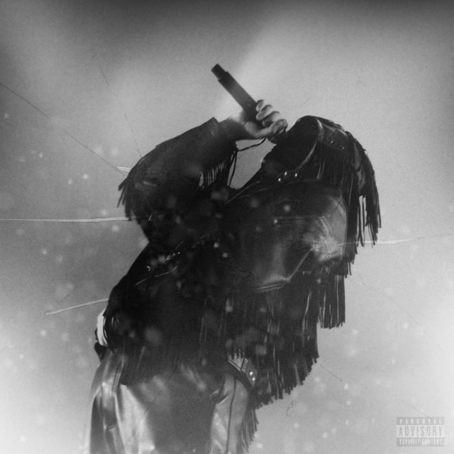 did wrong cover art