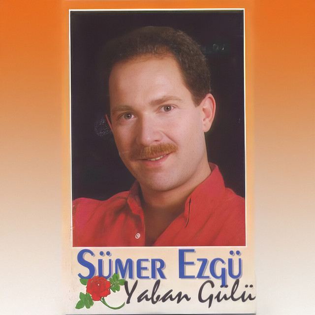 Yaban Gülü cover art