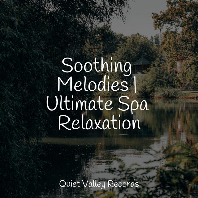 Anxiety Removal