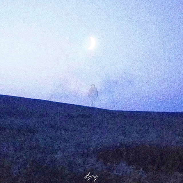 Cover art: Dying — 21TEI