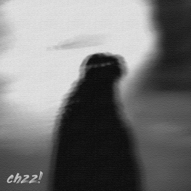 room cover art
