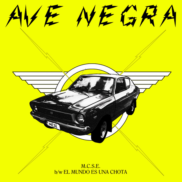 M.C.S.E. 7
