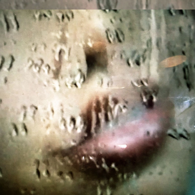Hive Mind (Primitive Body Dub) cover art