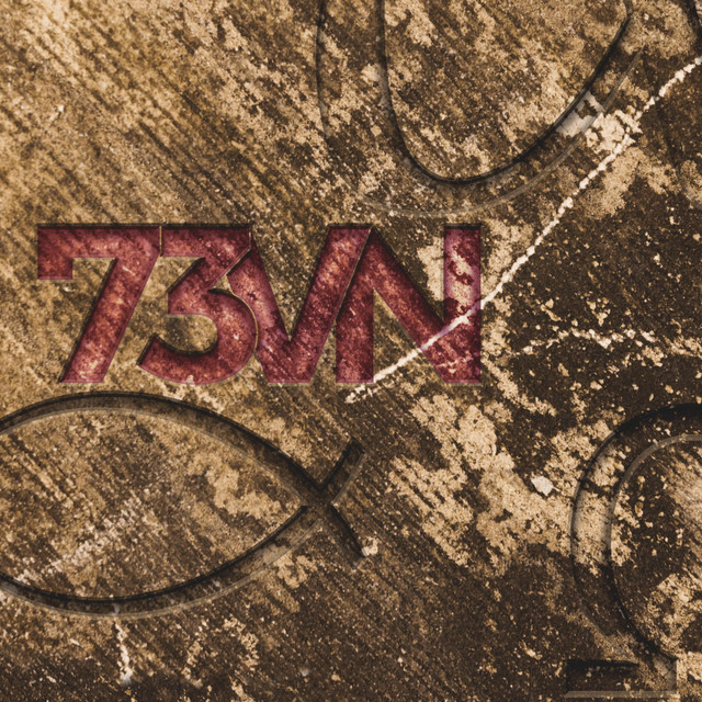 73vn cover art