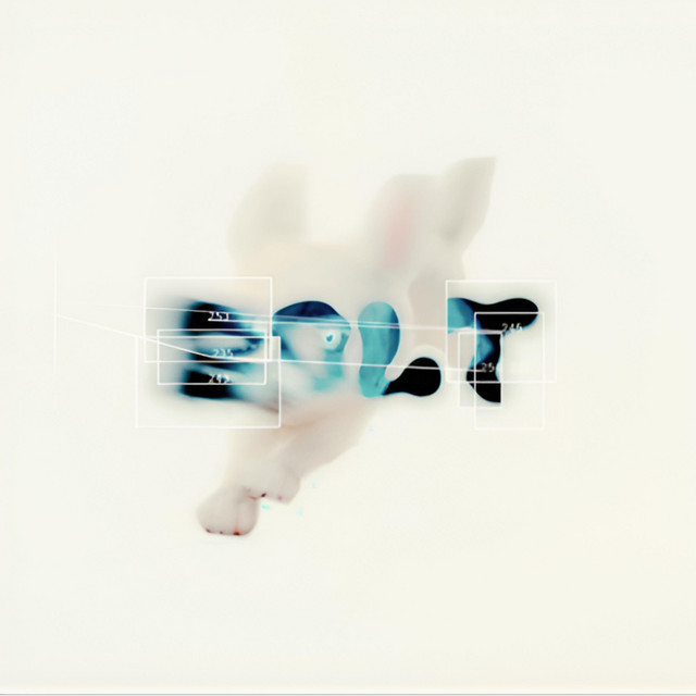 BOLT