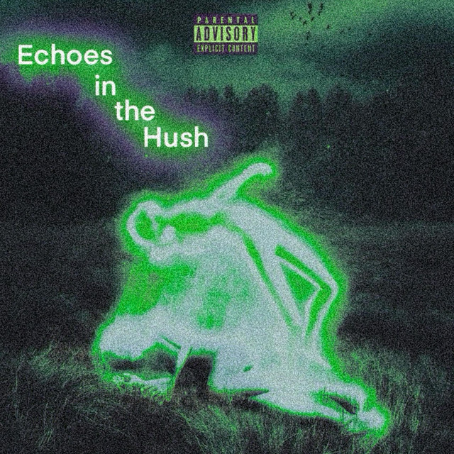 Echos In The Hush cover art