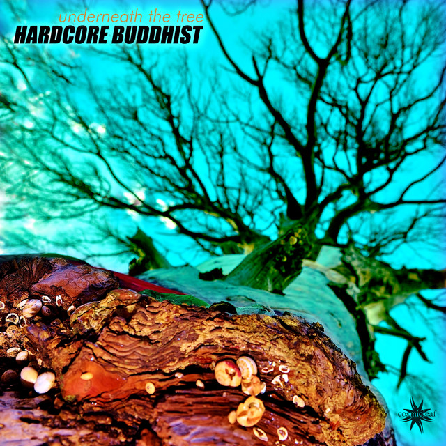 Обкладинка Hardcore Buddhist — Underneath the Tree