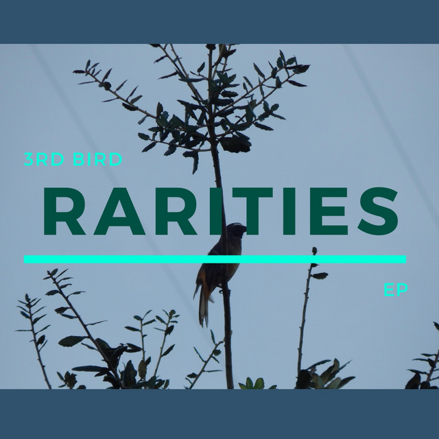 Rarities cover art