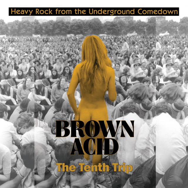 Brown Acid - The Tenth Trip cover art