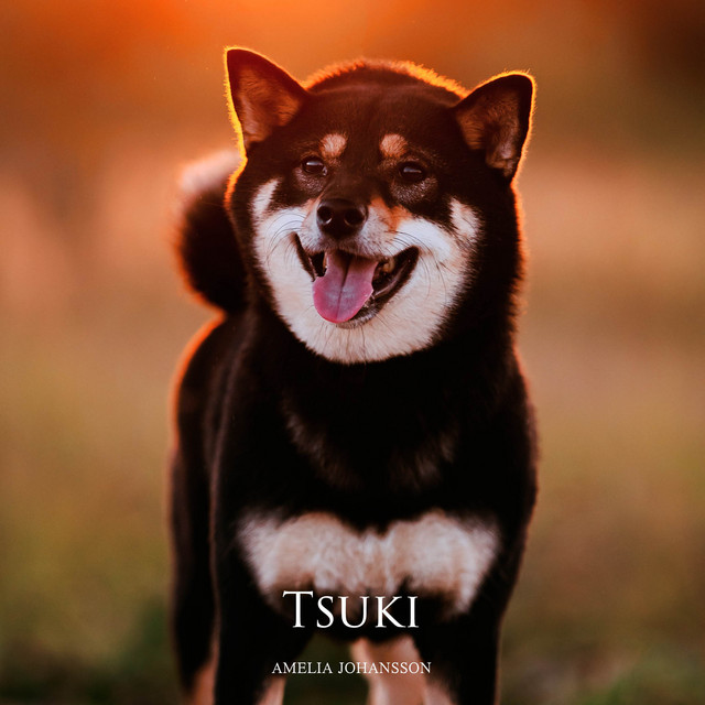 Tsuki