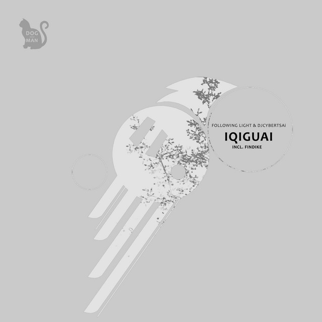 Обкладинка Following Light — Iqigai