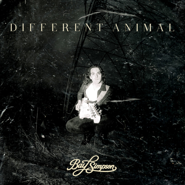 Different Animal album image