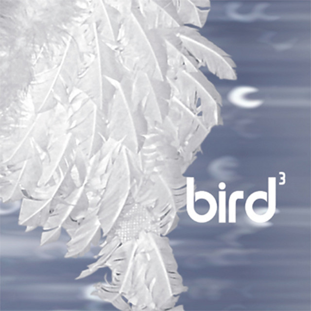 Bird3 cover art