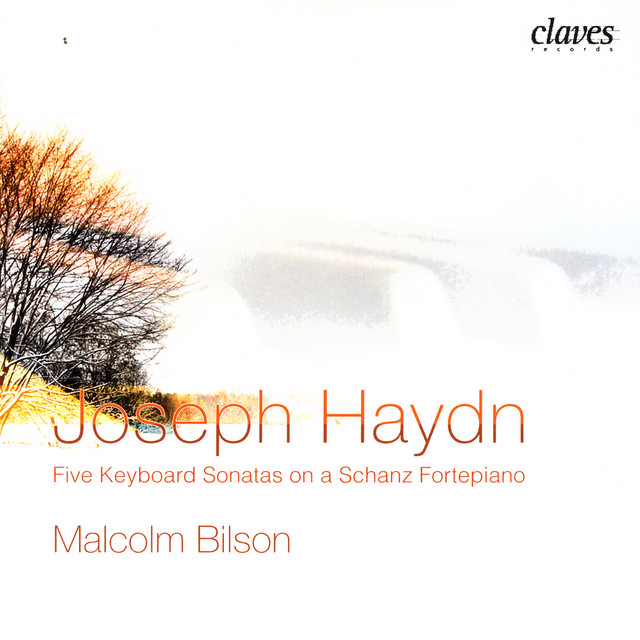 J. Haydn: Five Keyboard Sonatas on a Schanz Fortepiano cover art