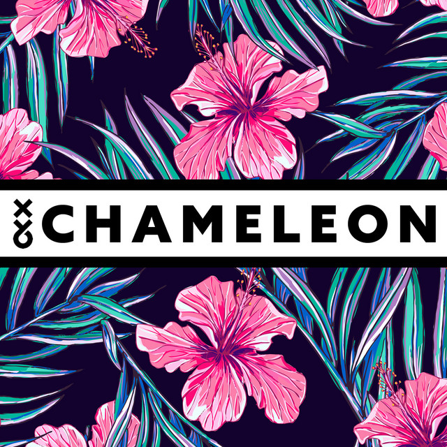 Chameleon - XY&O