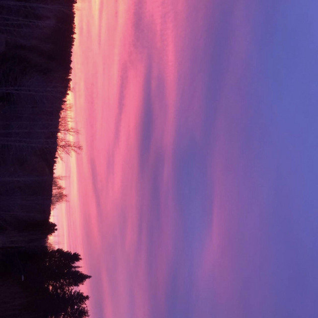 Fields cover art