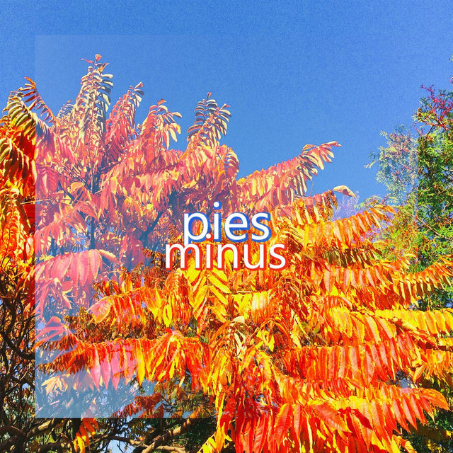 Minus cover art