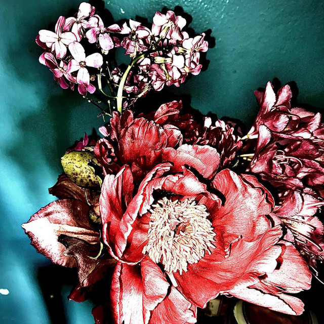 Spring Ends cover art