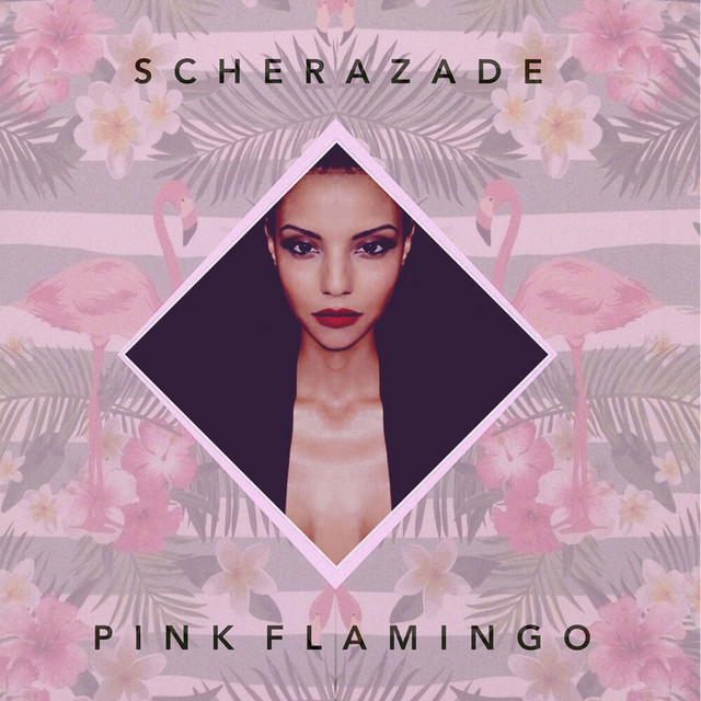 Pink flamingo cover art