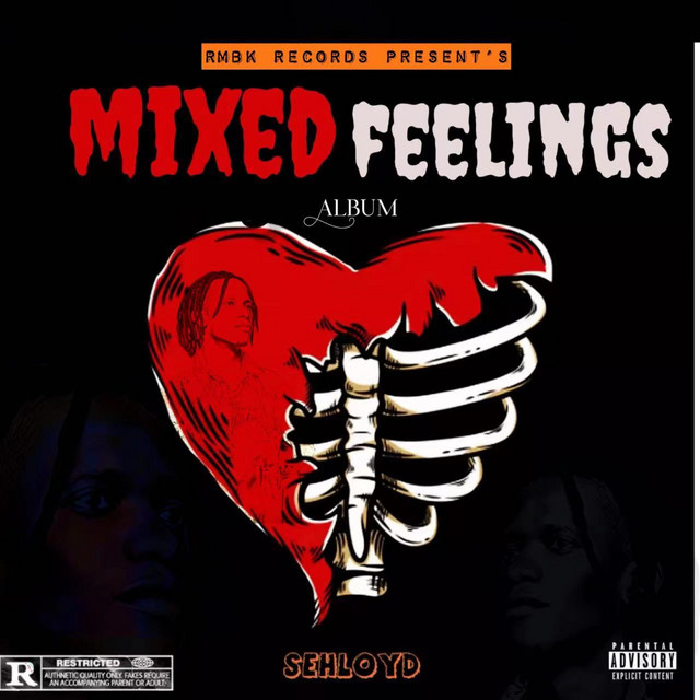 Mixed FeelingS cover art