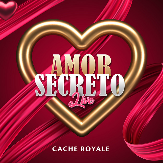 Amor Secreto (Live) cover art