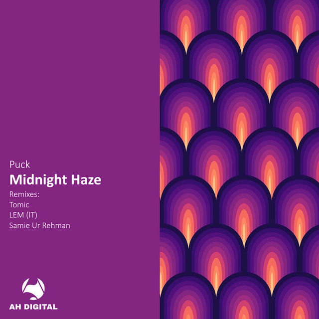 Midnight Haze (LEM IT Remix)