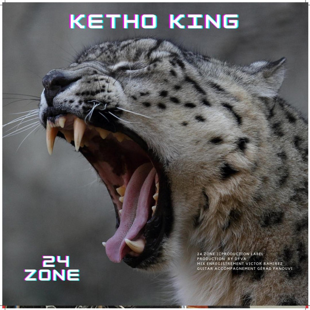 24 Zone cover