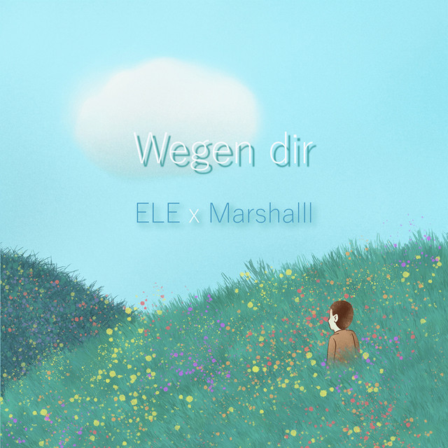 Wegen Dir cover art