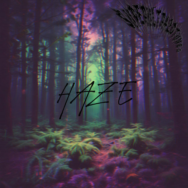 Обкладинка superultra2dtunes — Haze