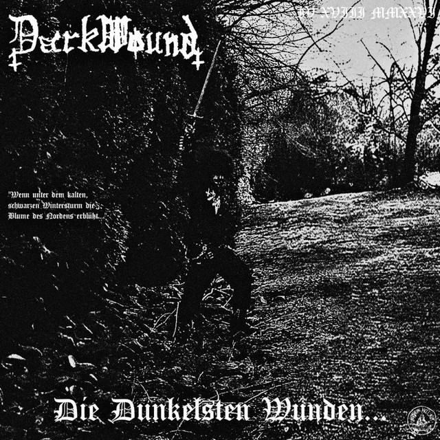 Die Dunkelsten Wunden... cover art