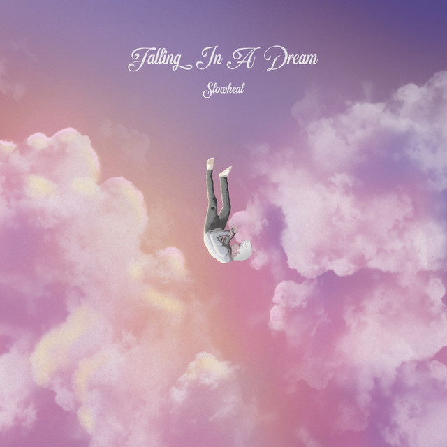 Falling In A Dream cover art